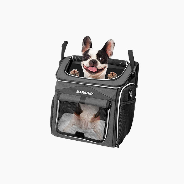 the dog basket with a French Bulldog in it