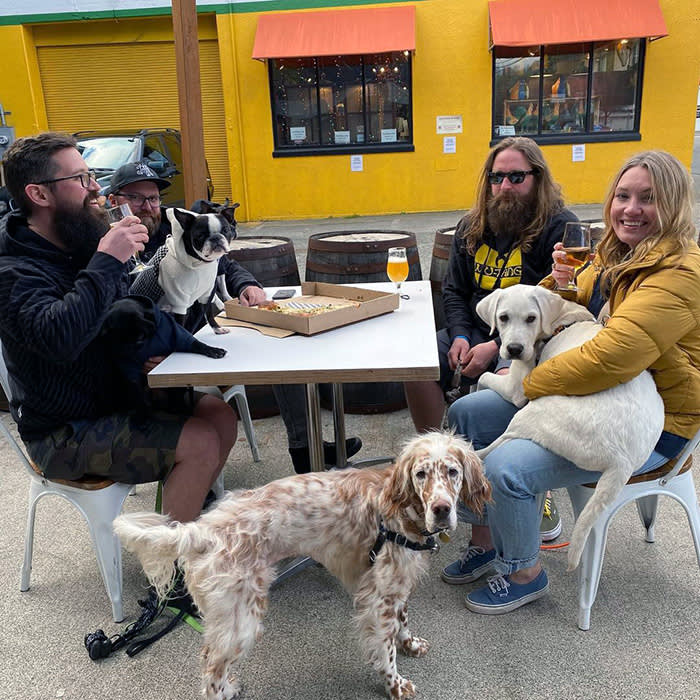 three dogs at a table at Holy Mountain brewing