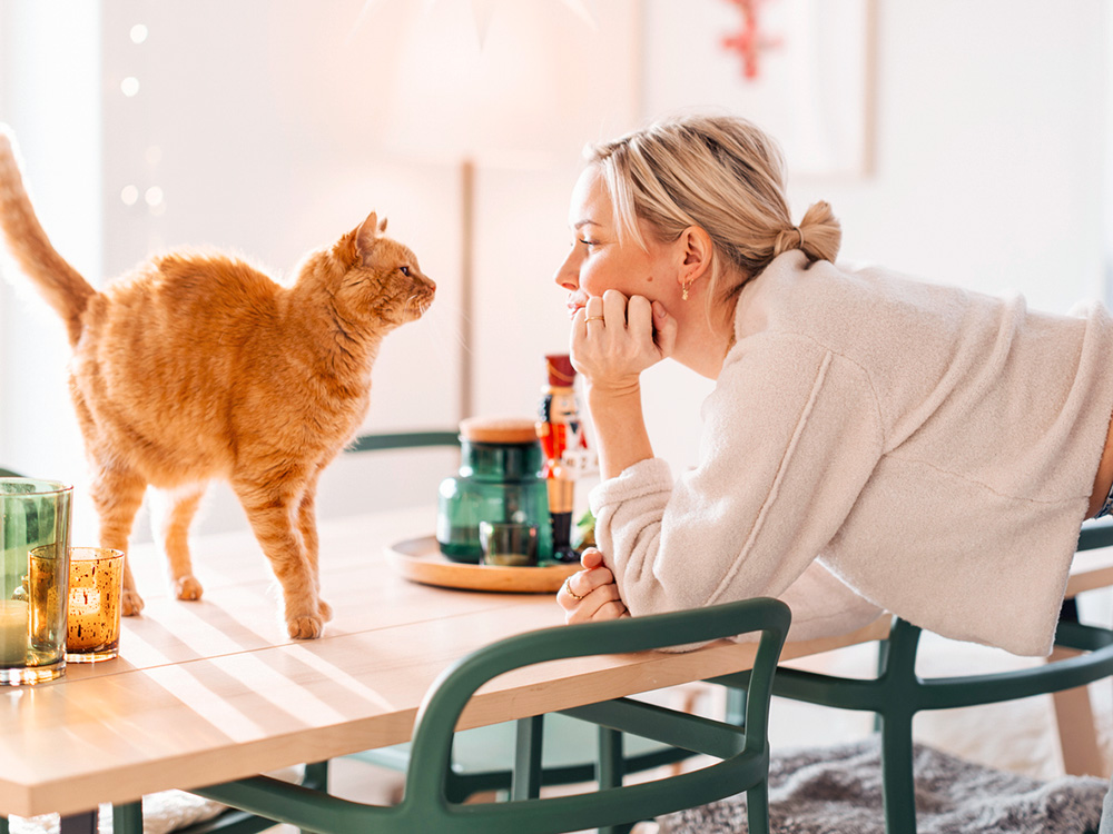 Woman staring at her orange cat's face.