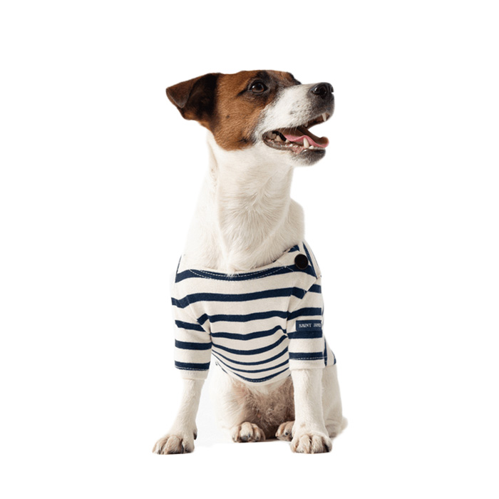 Saint James dog and human matching striped shirt