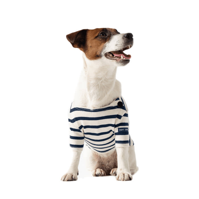 Saint James dog and human matching striped shirt