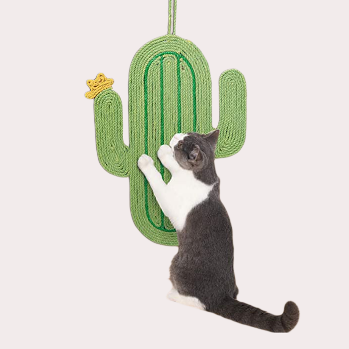 cactus shaped scratching pad