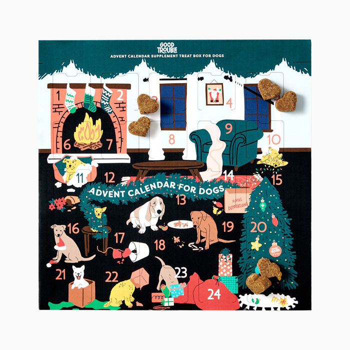 dog advent calendar