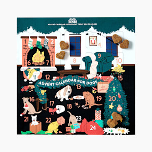dog advent calendar