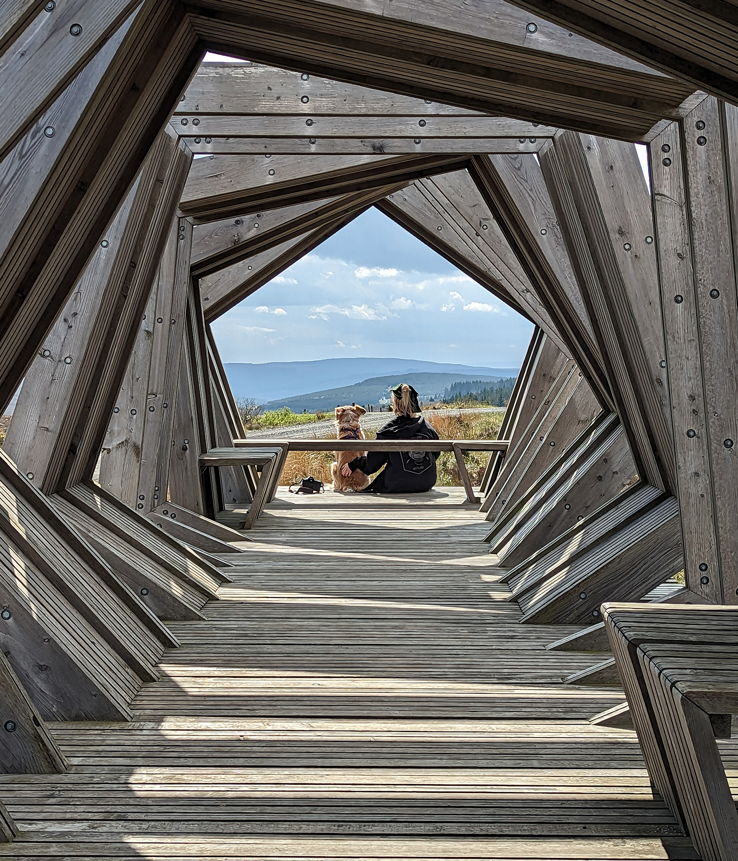 Kielder forest in northumberland