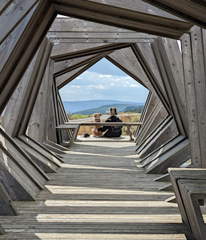 Kielder forest in northumberland