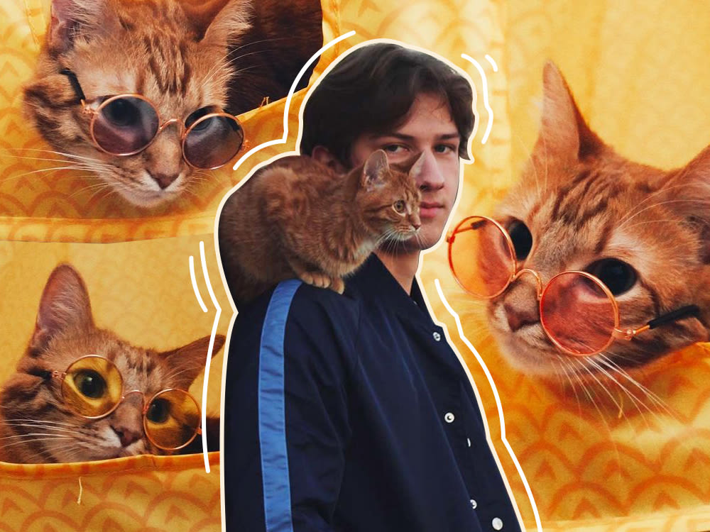 Abram Engle outlined with white lines, in front of a background collage of cats 