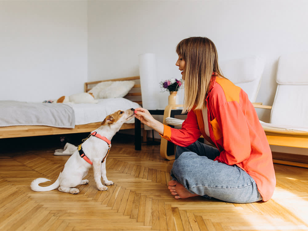 A woman sitting on the floor of her bedroom feeding her dog a treat. 