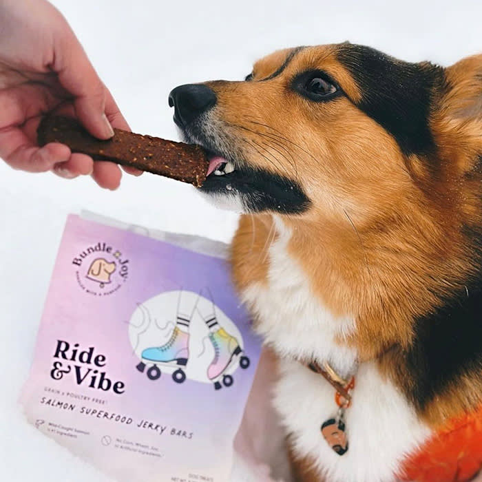 a dog eating a Bundle x Joy treat