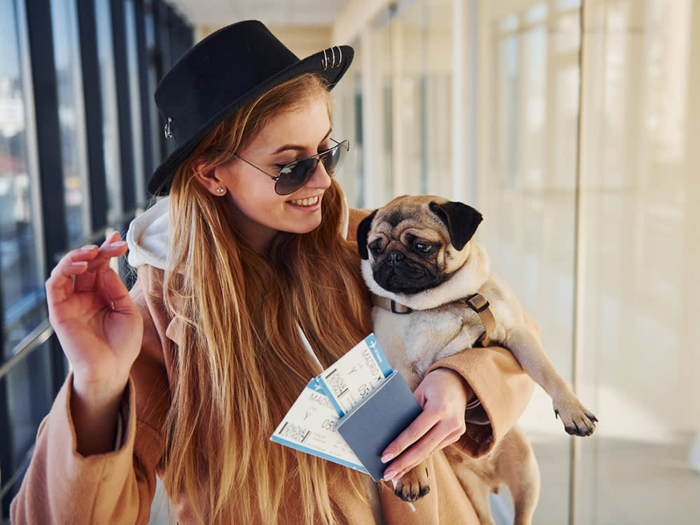 A redheaded woman in a black hat and sunglasses holding her pug dog under her arm as well as two boarding passes and her passport in an airport hallway
