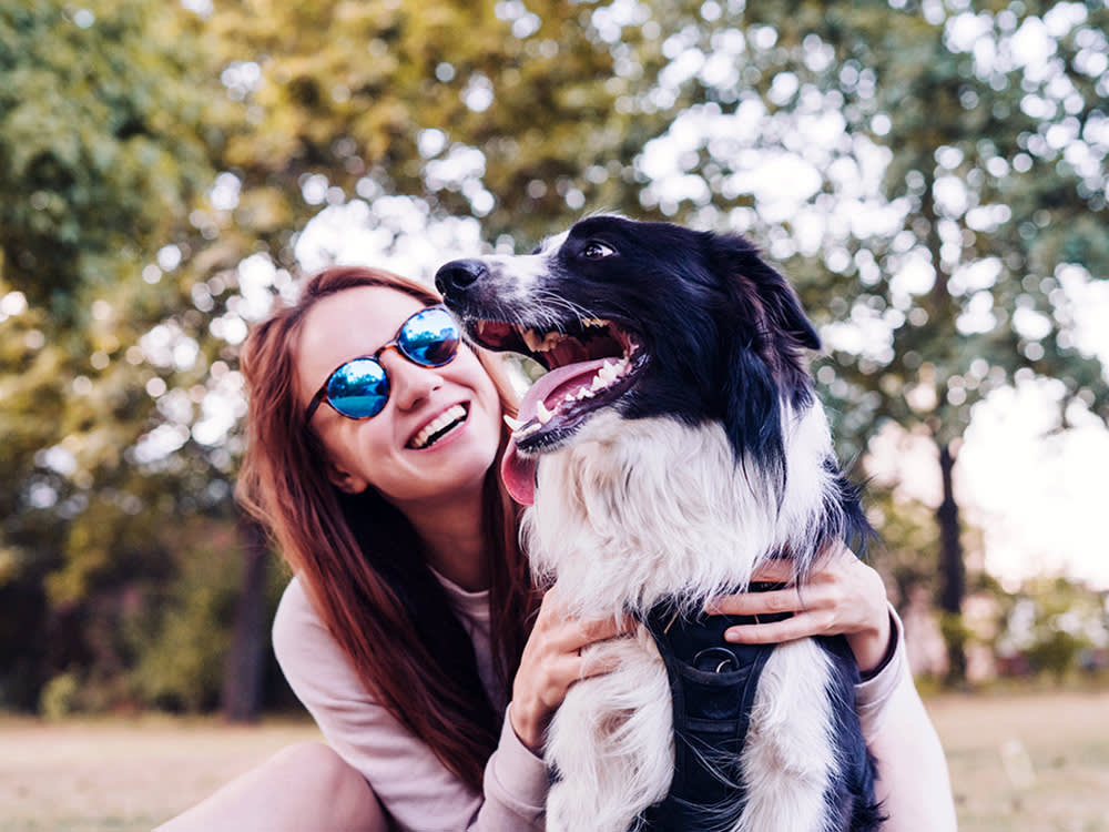 Young woman playing with a dog outdoors stock photo.