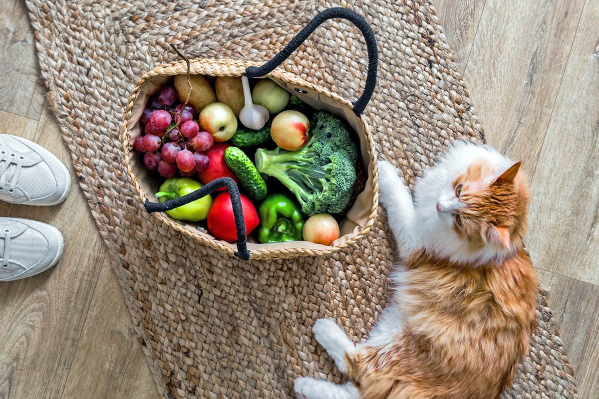 a cat with a basket as vegetables