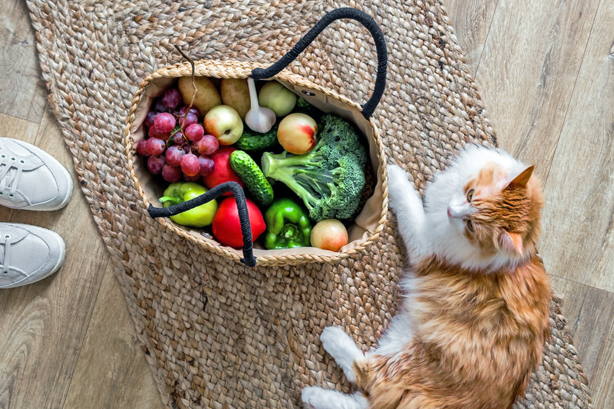 a cat with a basket as vegetables