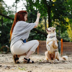A red haired woman dog trainer kneeling in front of a Shepherd mixed breed dog with one finger raised that the dog is looking at in an outdoor training course.