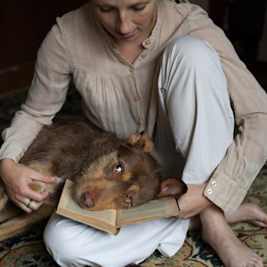 Dog lying on a person's book