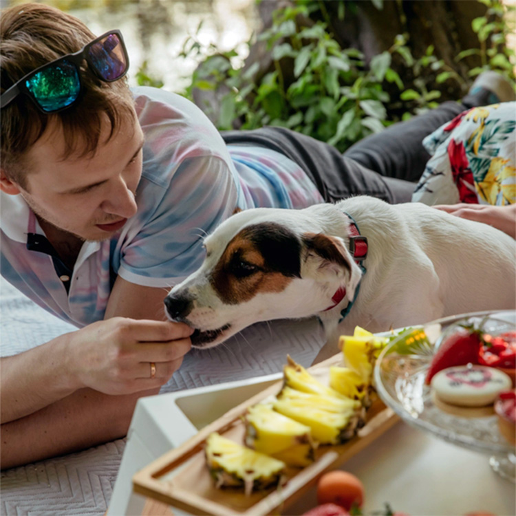 man feeding dog pineapple