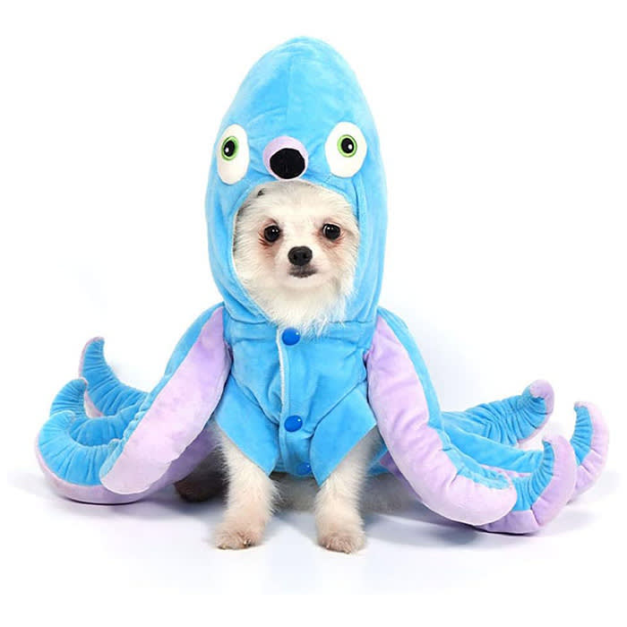 Dog in an octopus costume