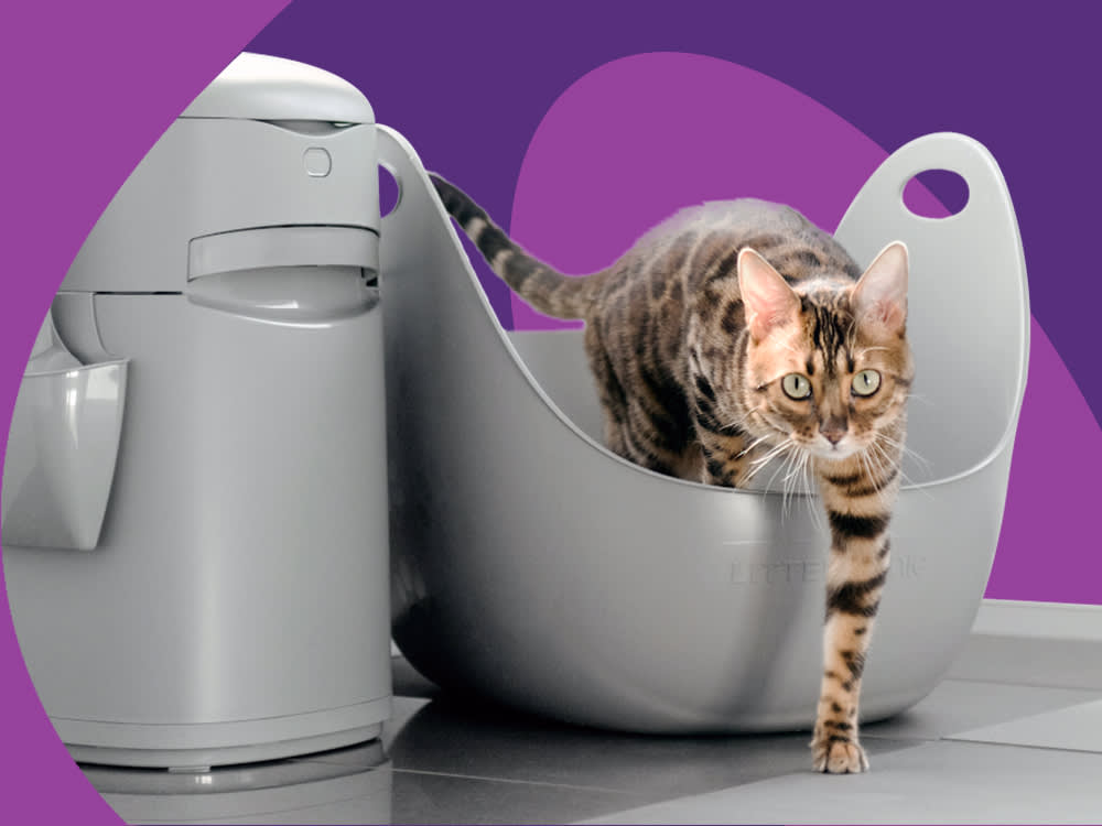 Cat looking at the camera while steeping out of litter box next to a Litter Genie with abstract purple shapes in the background