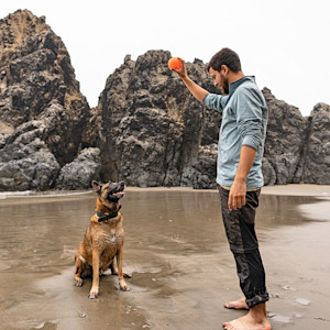 man with a ball and a dog on the beach