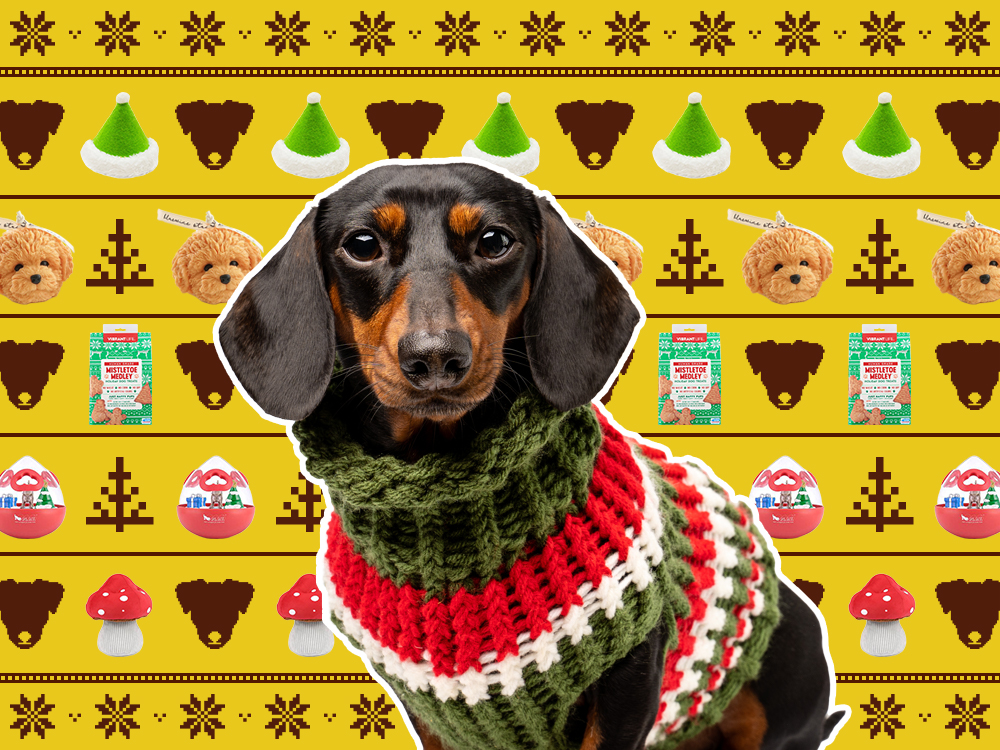 Lhasa Apso Dog Fridge Magnet Stocking Filler Christmas Gift AD-LAP1FM 