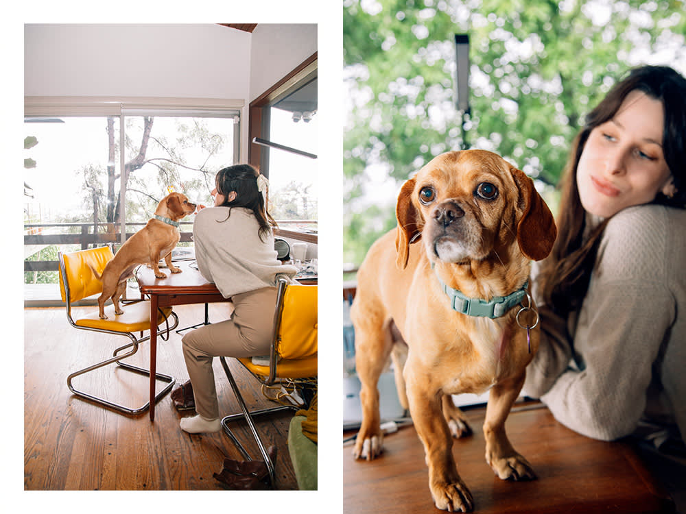 Sasha at her table with her dog; Sasha's dog on a table 