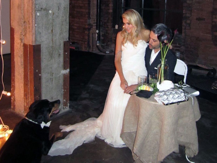 couple with their dog at wedding