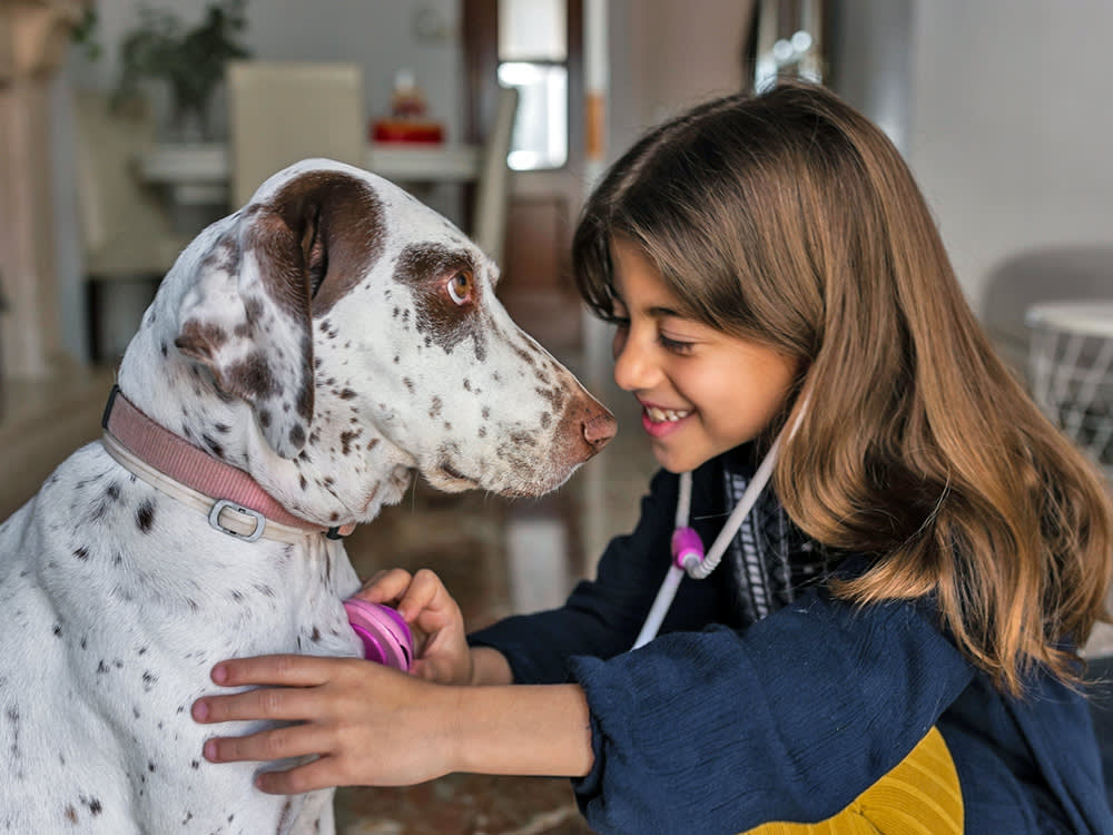 Girl playing with her dog at home.