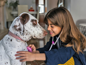 Girl playing with her dog at home.