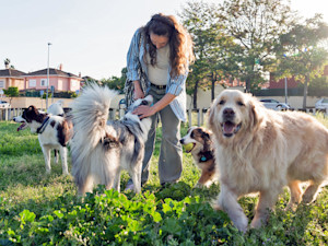 Woman at a dog park outside with a bunch of dogs.
