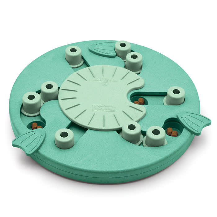 teal interactive dog toy