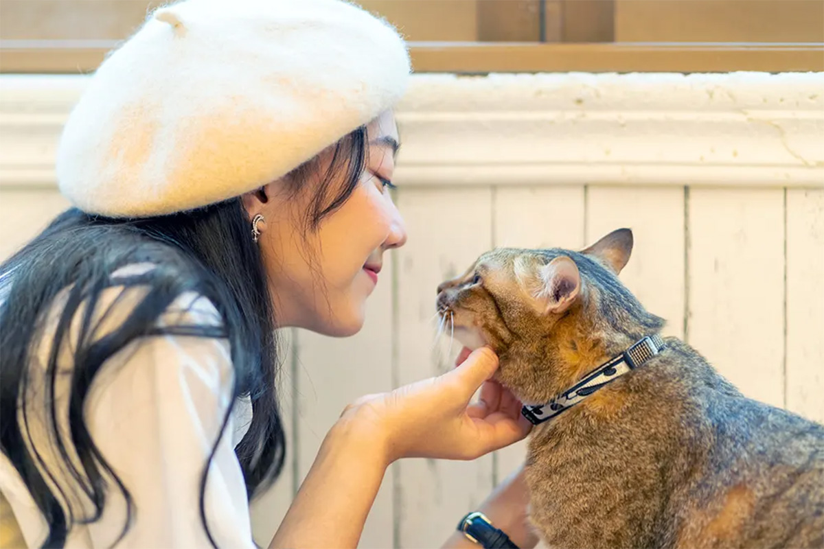A woman scratches a cat’s chin.