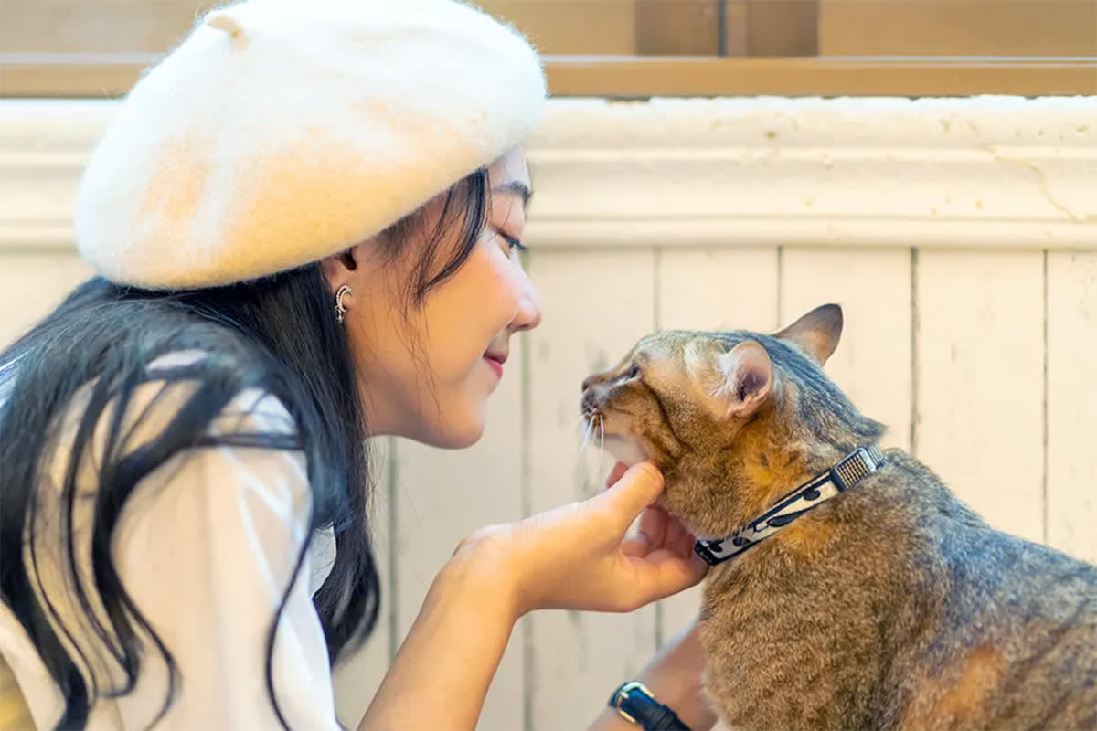 A woman scratches a cat’s chin.