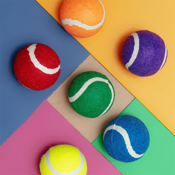 dog and co pride tennis balls