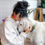 Dog Anxiety Medication What Meds Can You Give Dogs For Anxiety The 