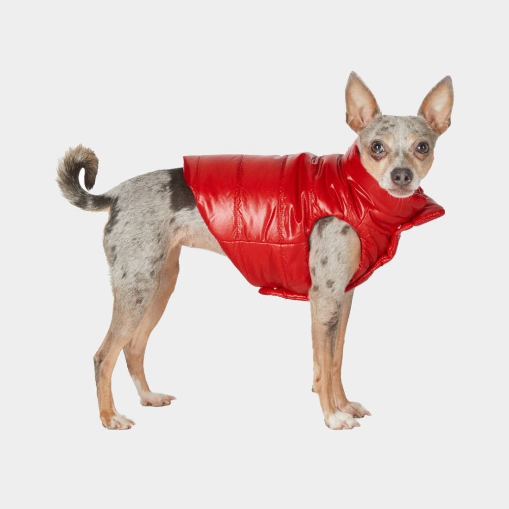 Moncler Genius Poldo Dog Couture Puffer Jacket
