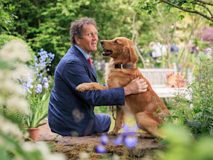 monty don and his golden retriever ned