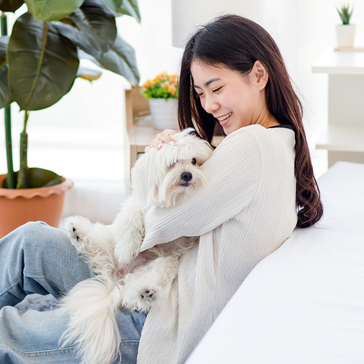 Woman holding her dog at home in her lap.