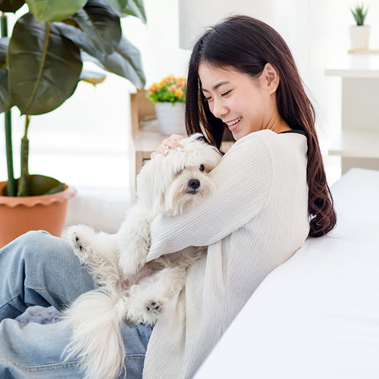 Woman holding her dog at home in her lap.