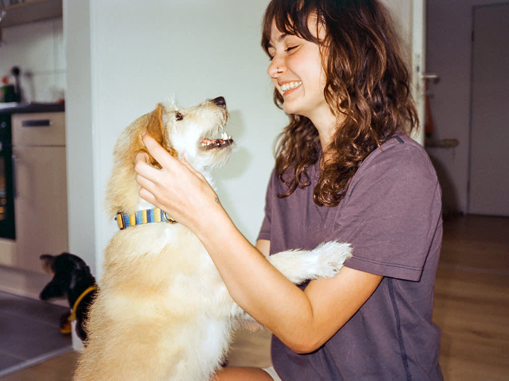 Dog jumping up on woman at home.