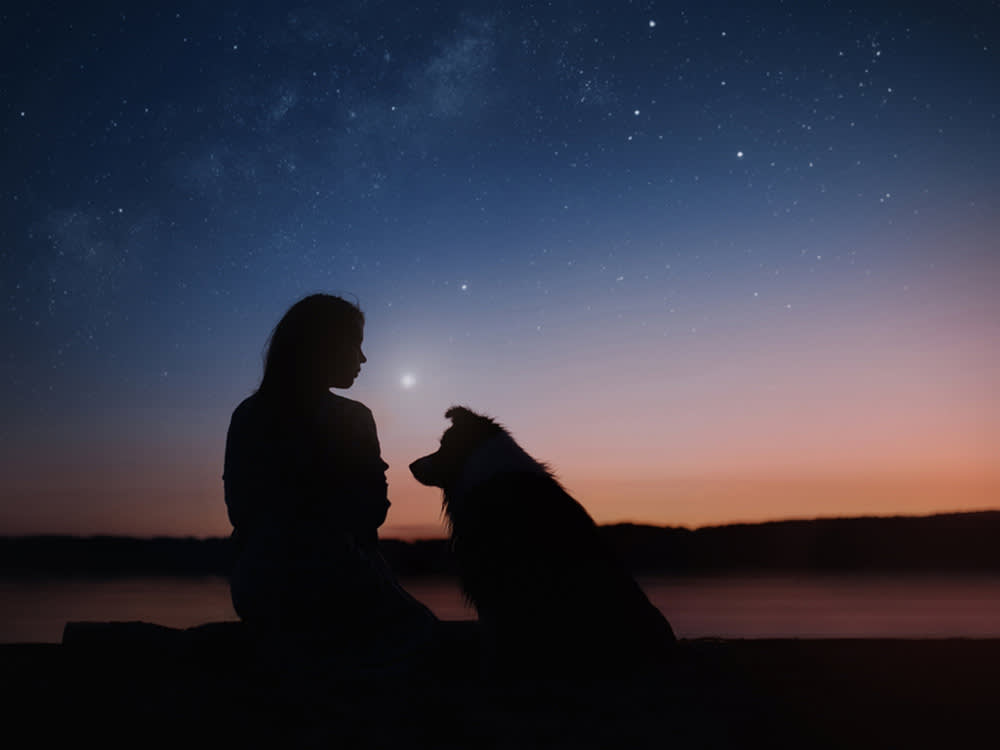 dog parent looking at a night sky with their dog