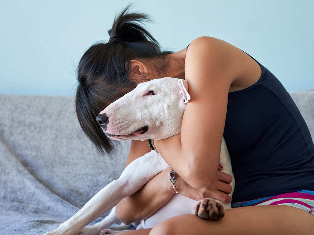 Ova studija otkriva da vaš pas plače sretnim suzama, baš kao i vi · Najluđe