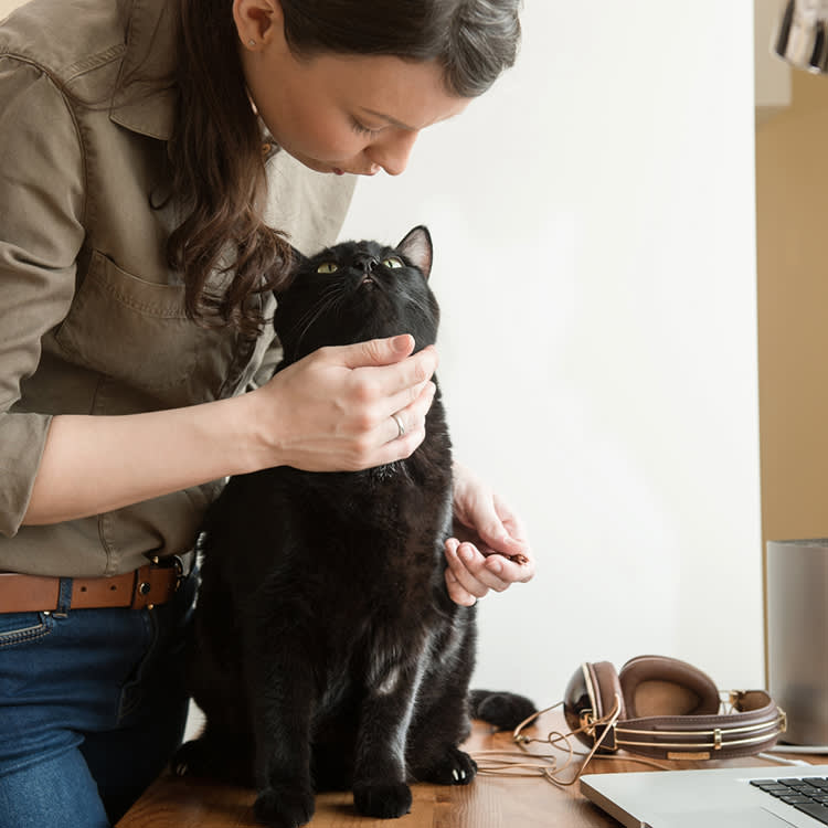A brunnette woman petting her black cat sitting on her desk while she prepares to give him a pill