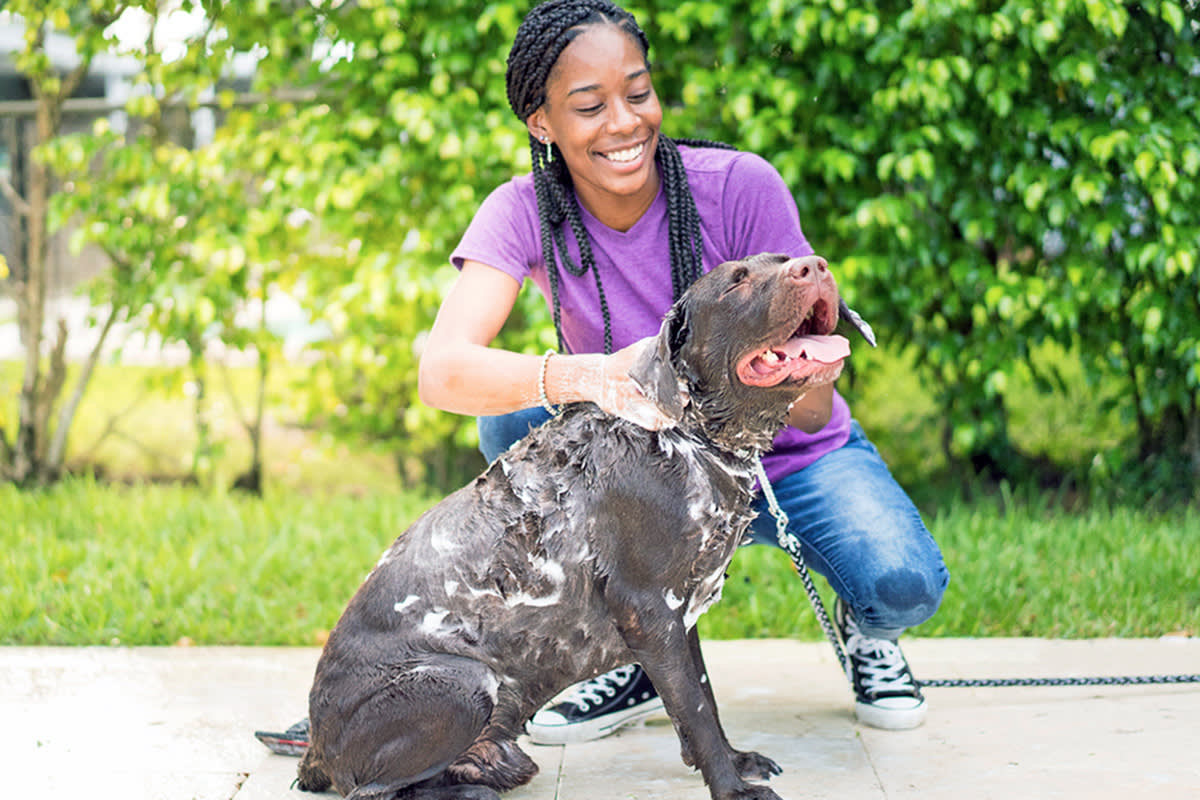 a woman gives her dog a bath outside