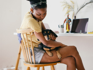 Young woman sitting in a chair holding and petting a small black Dachshund in her lap.