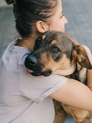 dog and human hugging