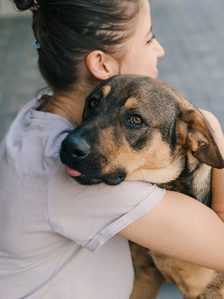dog and human hugging