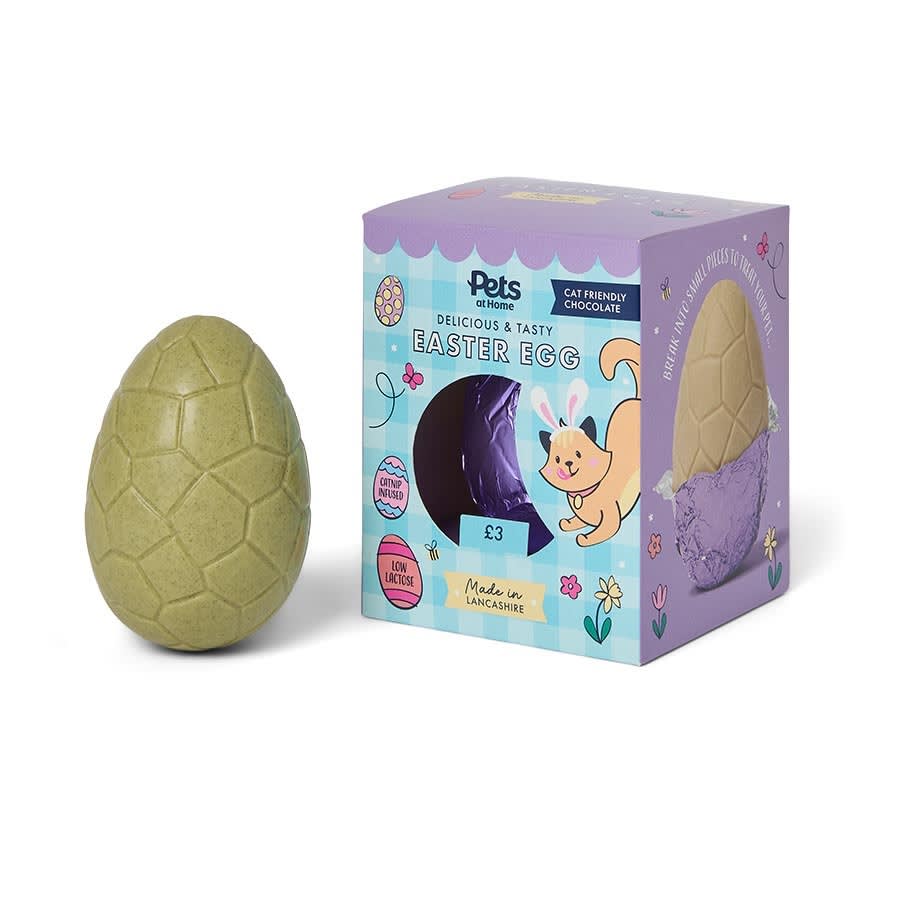 a picture of a cat safe easter egg