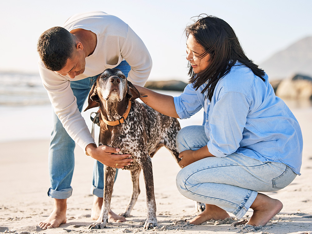 Two people petting a dog on the beach outside.