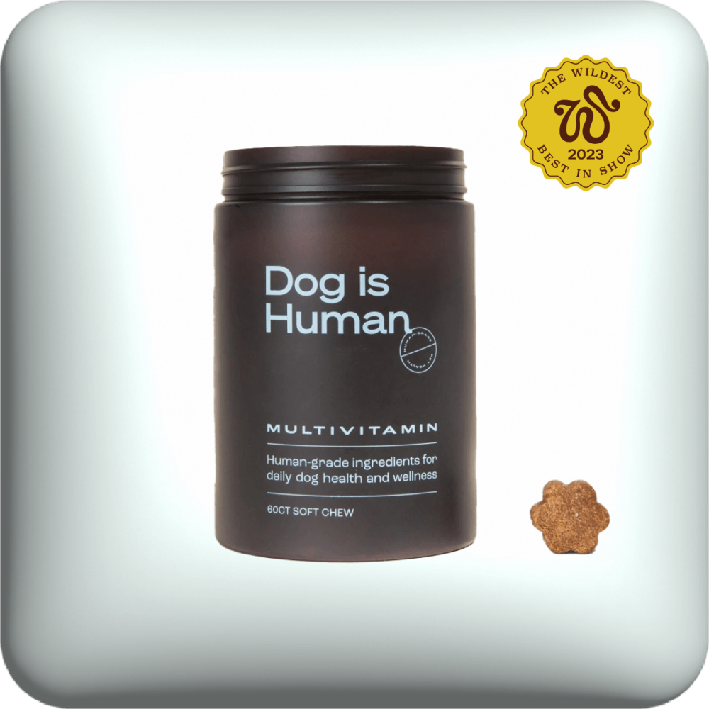 dog is human multivitamin