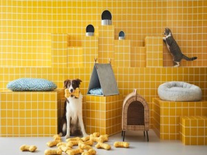 A yellow tiled room with platforms that have dog and cat beds on them. In the foreground is a dog with a yellow fabric bone in their mouth and in the background a cat is climbing on a platform. 